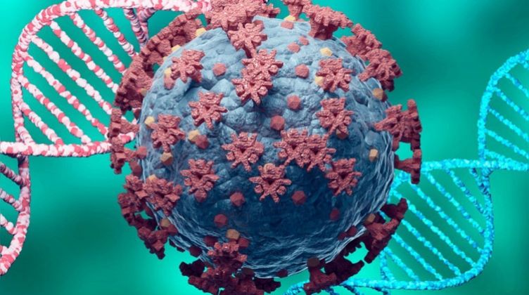  دراسة: فيروس كورونا قد يظل نشطا في أعضاء الجسم