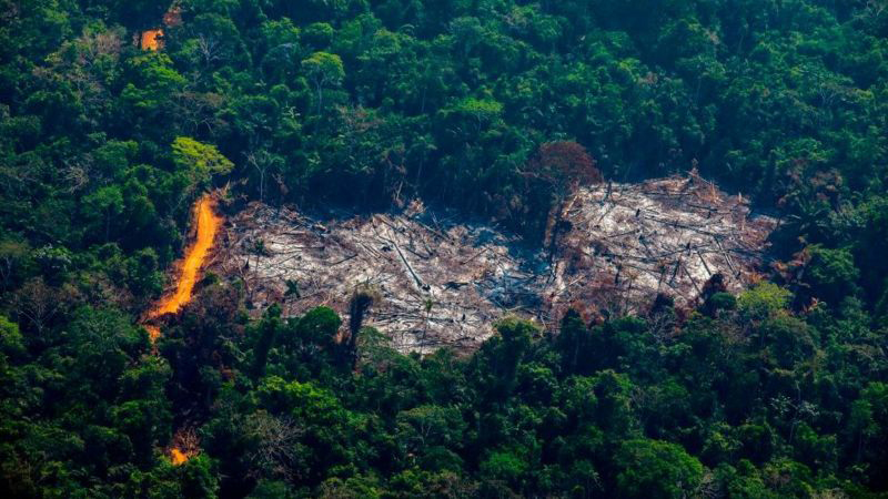  قمة المناخ: قادة العالم يتعهدون بوقف إزالة الغابات بحلول 2030