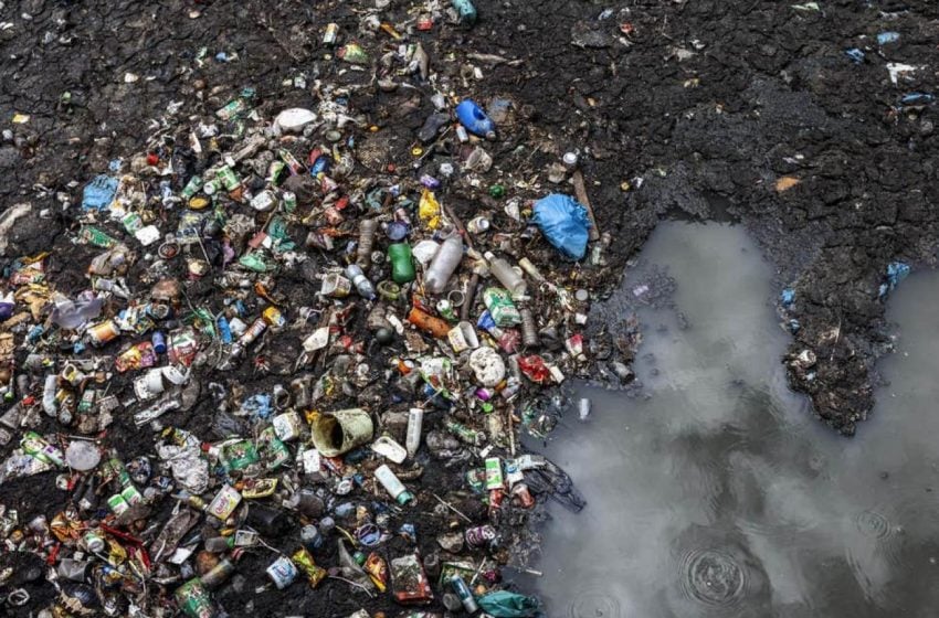 التلوث البلاستيكي في التربة يهدد الأمن الغذائي والصحة والبيئة