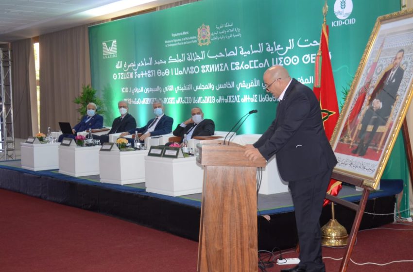  تعيين المغرب نائبا لرئيس اللجنة الدولية للري والصرف مكلفا بإفريقيا