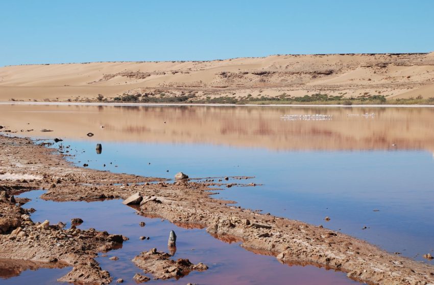  لقاء لتثمين الموارد المائية غير التقليدية في حوض الساقية الحمراء ووادي الذهب