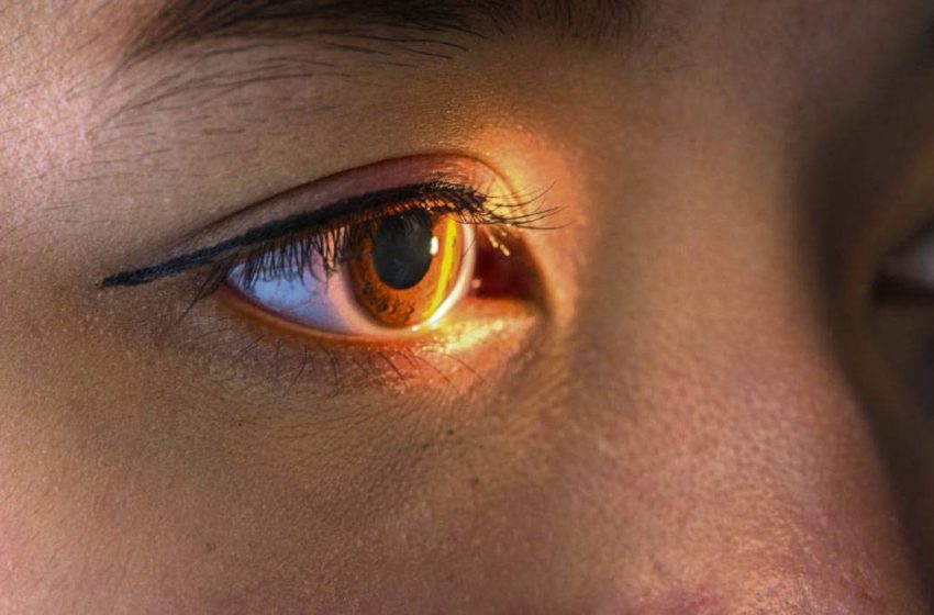 مشروع “سايتفورست” لمحاربة العمى الناجم عن اعتلال الشبكية