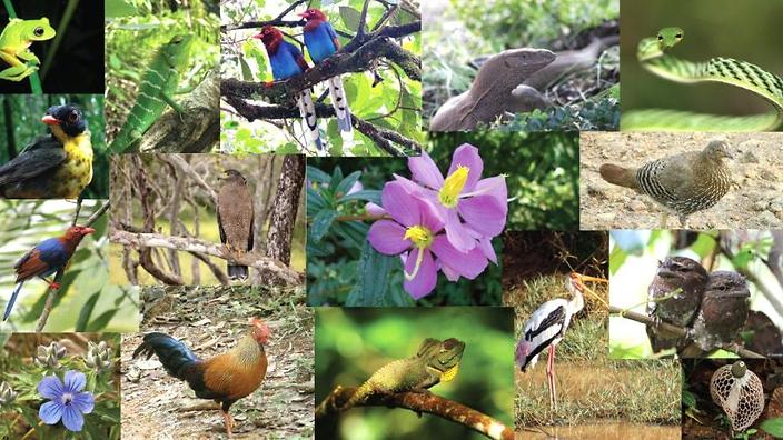  الإنطلاقة الرسمية للمعرض الجهوي للصور الفوتوغرافية حول التنوع البيولوجي