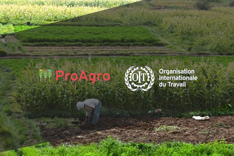 مشروع ProAgro لمصاحبة ودعم المقاولين الشباب في القطاع الفلاحي والصناعات