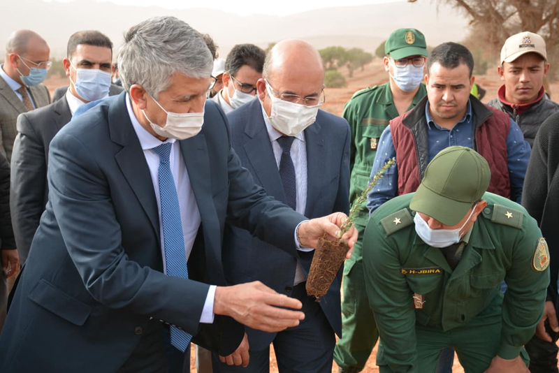  الوزير محمد صديقي يطلق مجموعة أوراش في إطار المخطط الجهوي للغابات