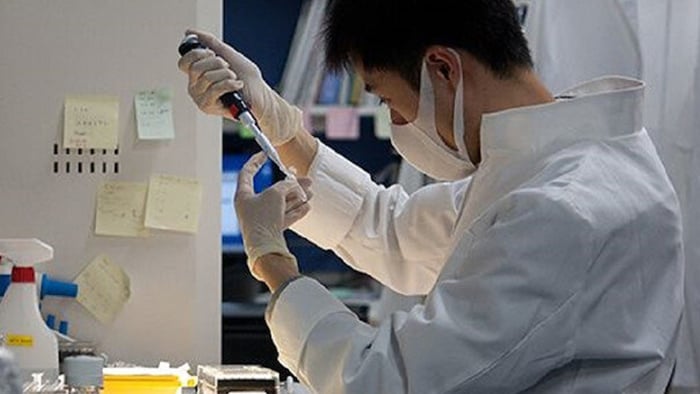  اليابان تختبر لأول مرة الخلايا الجذعية لعلاج إصابات العمود الفقري
