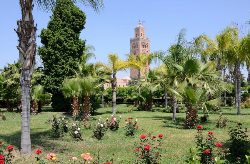 المنتزهات الوطنية والحدائق الحضرية المغرب