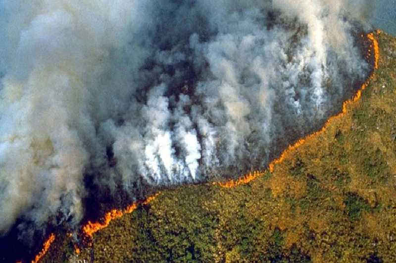 ارتفاع حرائق الغابات