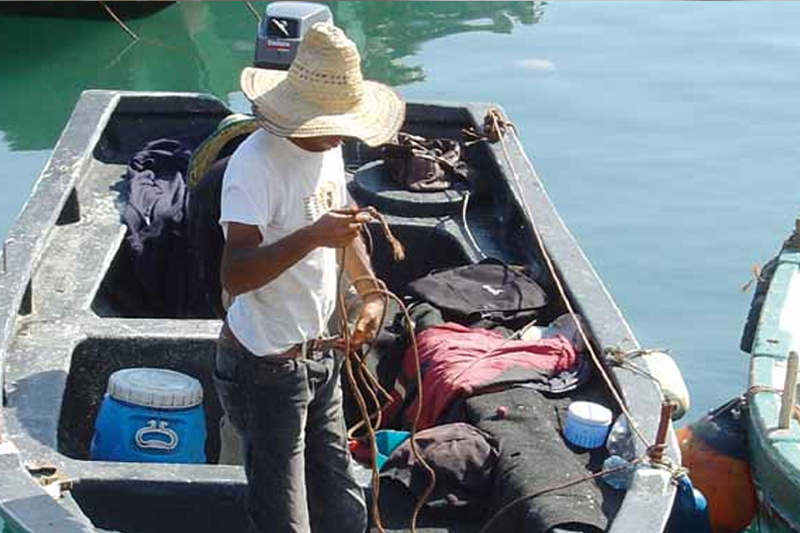  الحسيمة.. تحسين ظروف العمل واشتغال بحارة الصيد التقليدي بميناء كلايريس