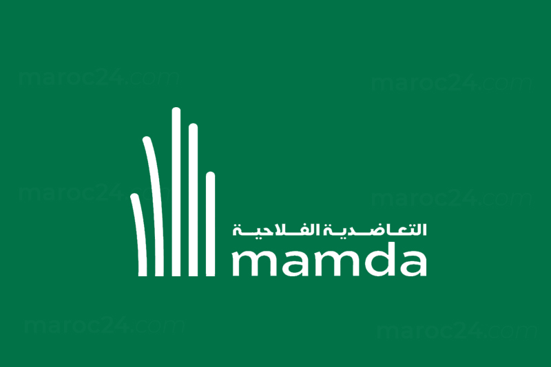  التعاضدية الفلاحية المغربية MAMDA تشرع في صرف التعويضات للفلاحين