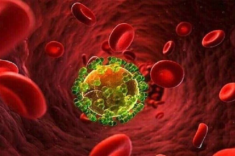  رصد متحور سريع من فيروس نقص المناعة البشرية الإيدز