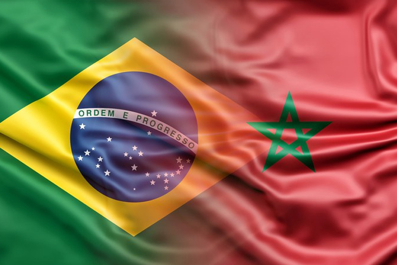  المغرب يشارك في إحياء البرازيل لليوم العالمي للفرنكوفونية
