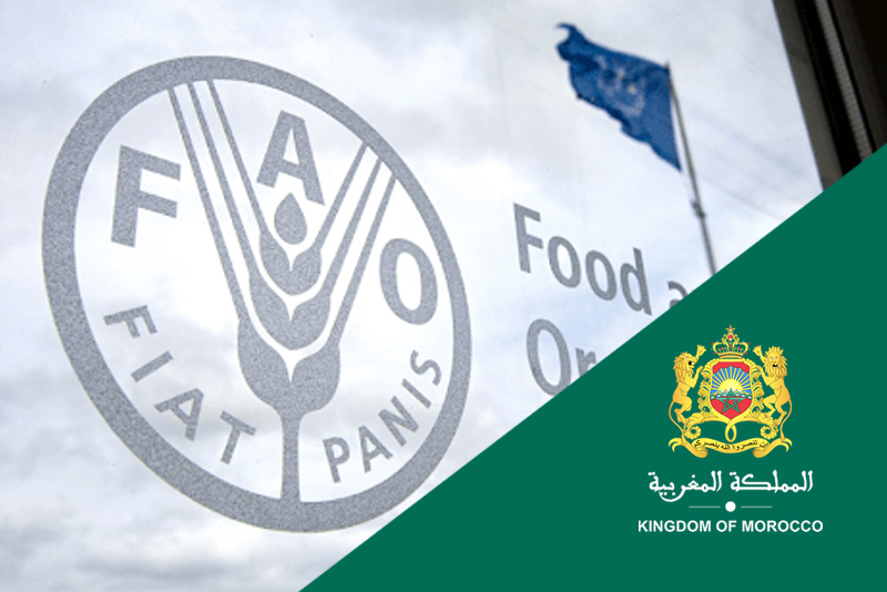  برنامج الأغذية العالمي يعين المغرب منسقا للدول الإفريقية