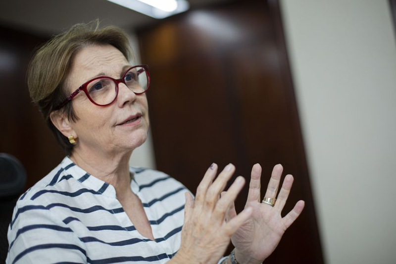  وزيرة الفلاحة البرازيلية تسعى إلى زيادة واردات الأسمدة من البلدان العربية