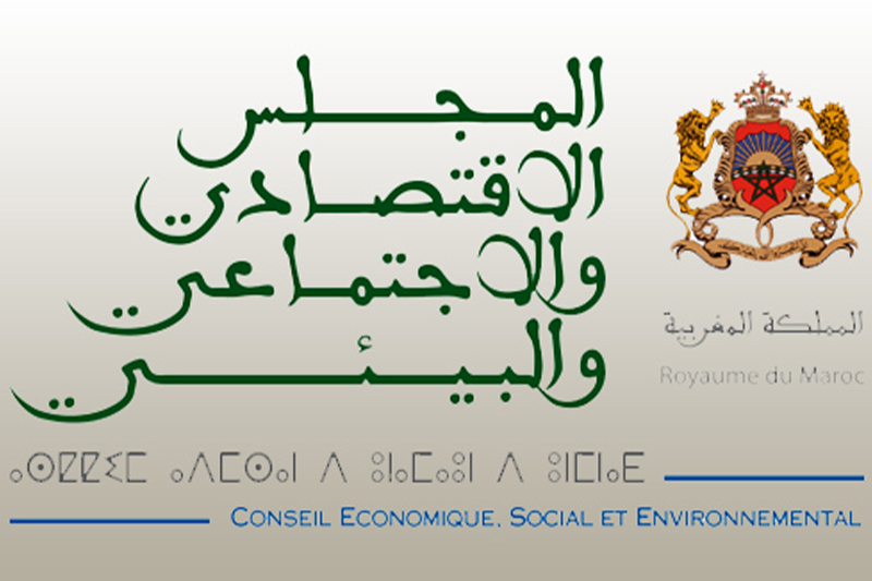 تشكيلة المجلس الاقتصادي والاجتماعي والبيئي لسنة 2022