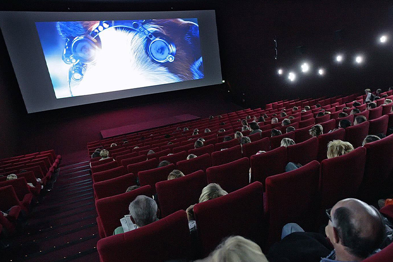  الكشف عن مشاريع الأفلام المستفيدة من الدعم السينمائي لسنة 2022