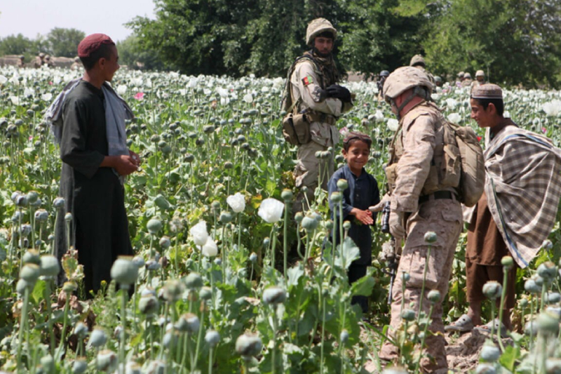  حكومة طالبان تحظر إنتاج واستهلاك المواد المخدرة