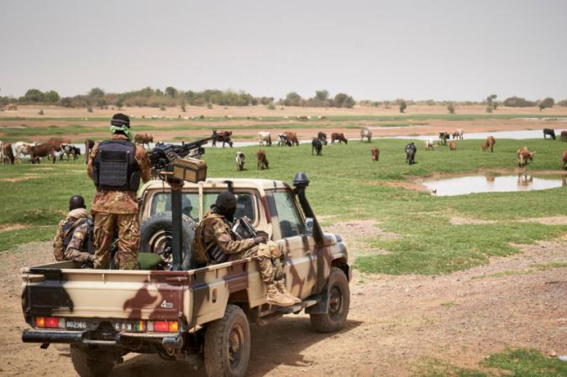 مالي : مقتل 12 إرهابيا من قبل الجيش