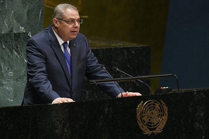 الأمم المتحدة : الجزائر، كابوس القضية الفلسطينية داخل مجلس الأمن