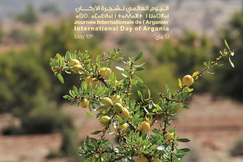  اليوم العالمي لشجرة أركان 2022 : المغرب ومنظمة الأمم المتحدة يحتفيان بالذكرى الثانية