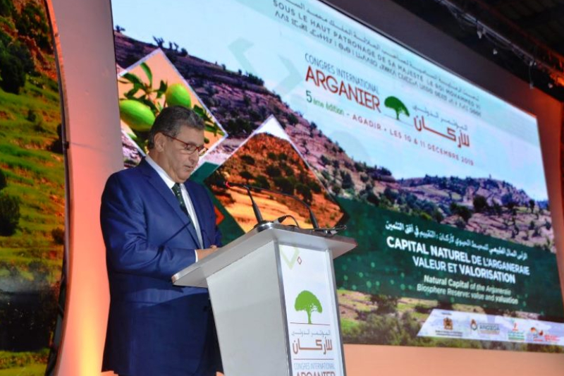  أكادير تحتضن فعاليات الاحتفاء بالذكرى الثانية لليوم العالمي لشجرة الأركان