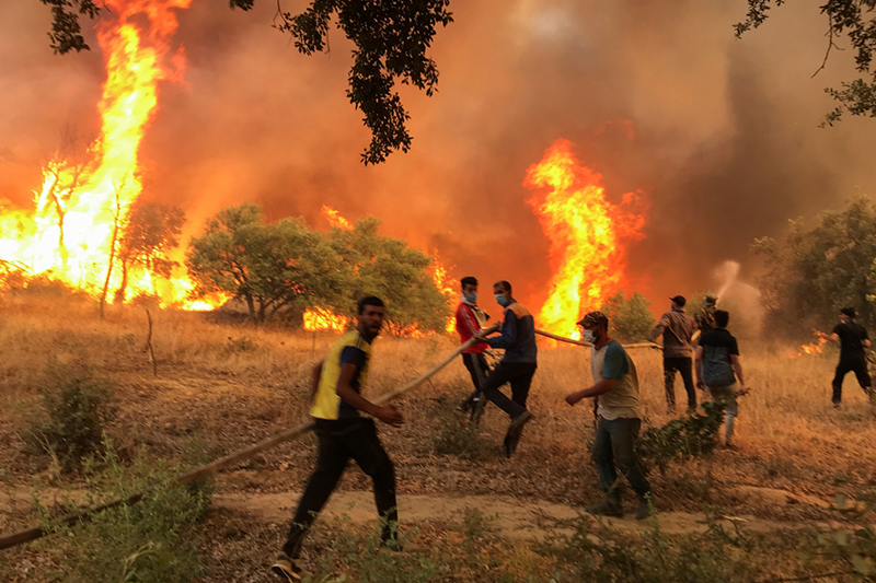  حرائق الغابات بالجزائر تودي بحياة 3 أشخاص