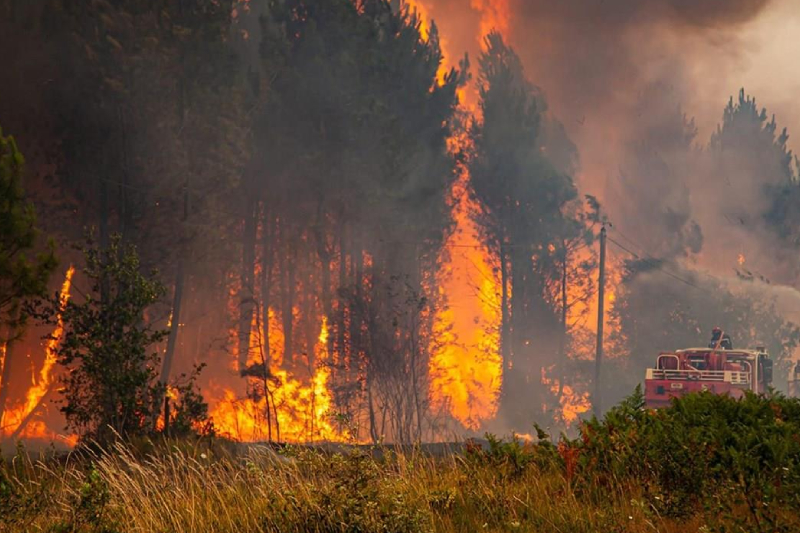  الرئيس الإسباني يعلن ازدياد رقعة مساحة الغابات المحترقة