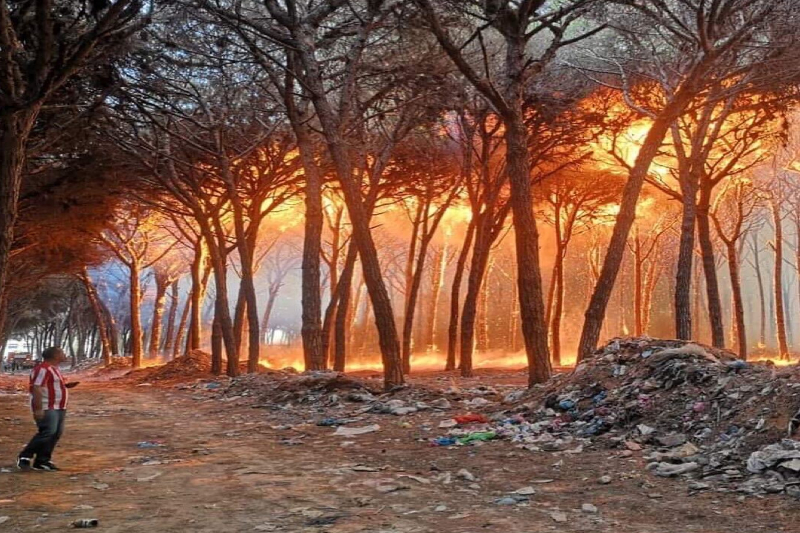  تواصل العمليات الميدانية لإخماد الحرائق التي اندلعت بعدد من غابات إقليم العرائش