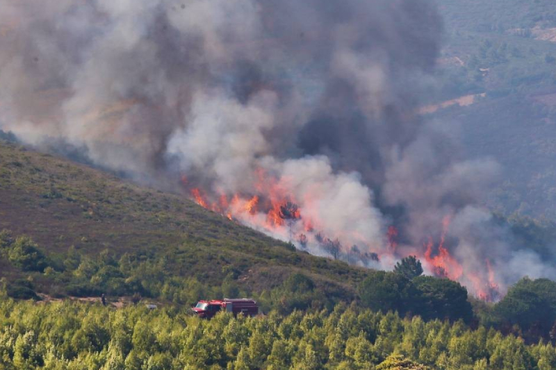  حرائق العرائش : التحكم في 70 % من حريق غابة آل سريف والخسائر المادية طالت 169 مسكنا