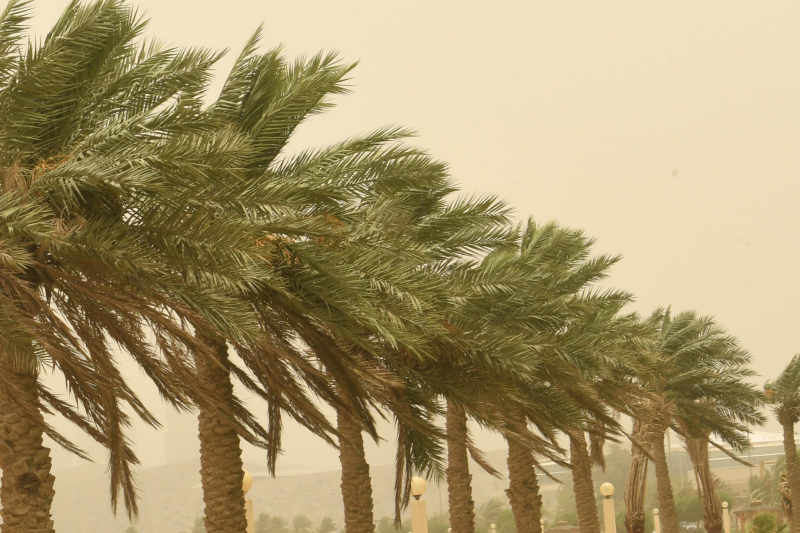 نشرة إنذارية : زخات رعدية ورياح قوية اليوم الجمعة بعدد من مناطق المغرب