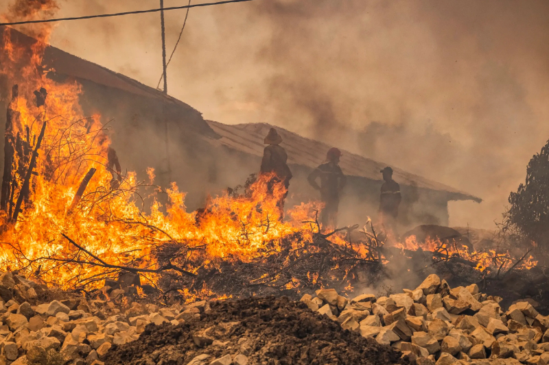  الحرائق الغابوية بإقليم تطوان تأتي على 90 هكتاراً من الغطاء الغابوي