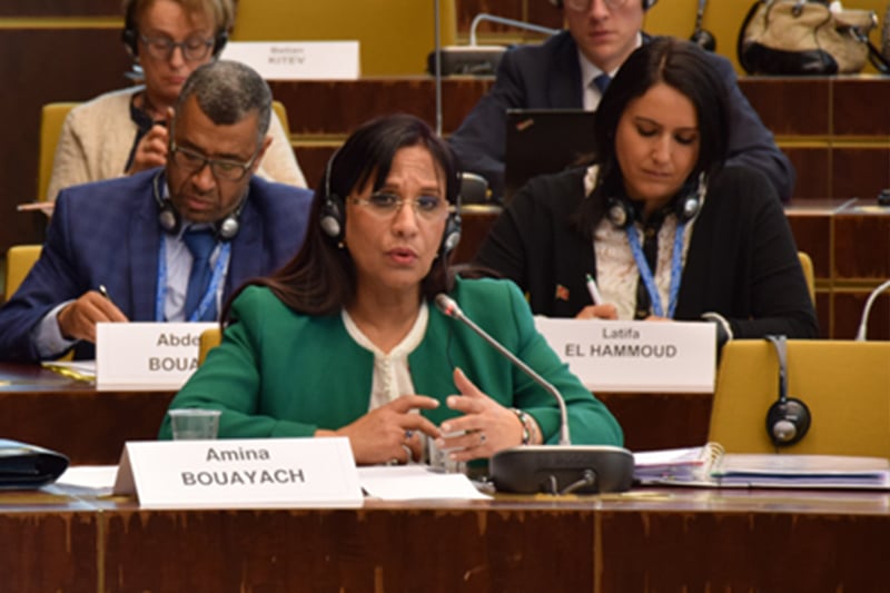 ستراسبورغ : السيدة بوعياش تدعو إلى إعادة التفكير في التعاون جنوب شمال في مجال حقوق الإنسان