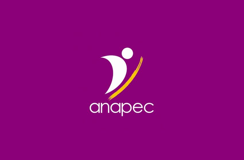 الوكالة الوطنية لإنعاش التشغيل والكفاءات ANAPEC : حصيلة سنة 2021