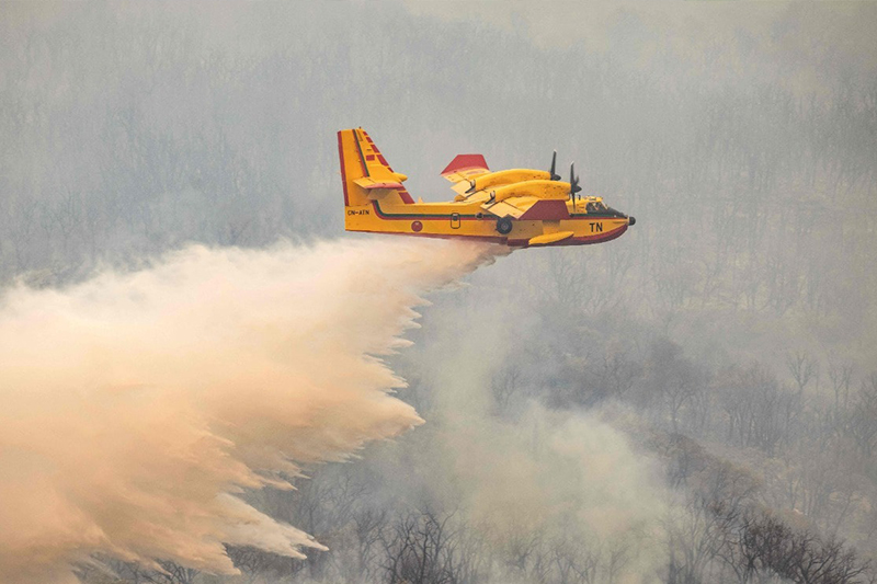 مجهودات فرق الإطفاء لاتزال متواصلة لاحتواء حريق غابة كدية الطيفور