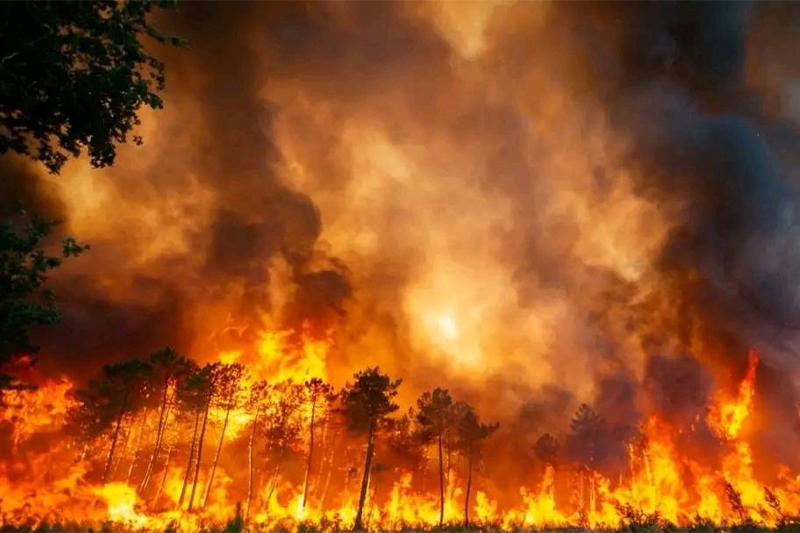  إسبانيا: الحرائق تأتي على ما لا يقل عن 60 ألف هكتار