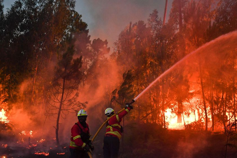  الاتحاد الأوروبي يقدم المساعدة للبرتغال لمكافحة حرائق الغابات