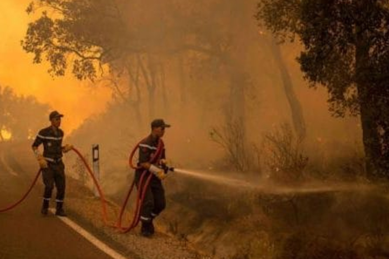 الجهود متواصلة بالعرائش لإخماد حريق غابة “بوهاشم جبل العلم” (مصادر محلية)