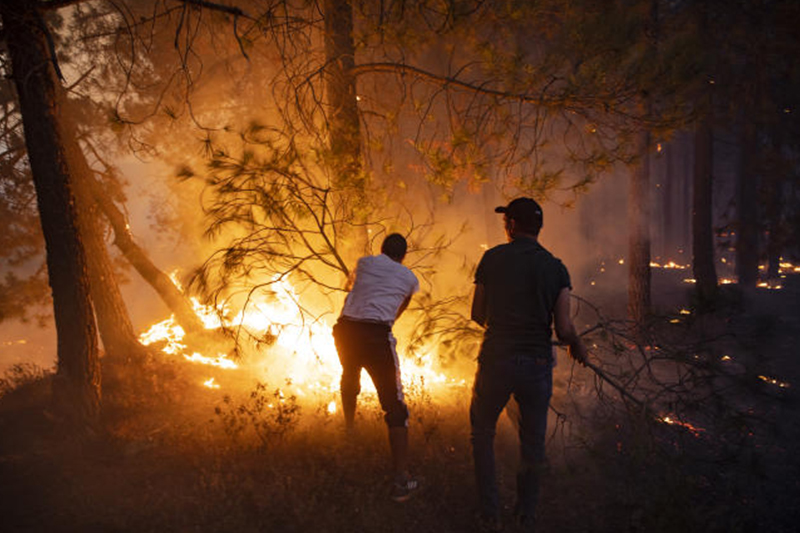  تاونات: فرق عمليات إخماد حريق غابة خندق تسيانة تمكنت من تحويط بؤر النيران