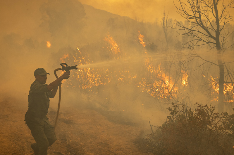  البرتغال : الحرائق تجتاح نحو 104 آلاف هكتار من الغابات