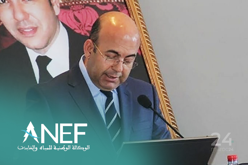  عبد الرحيم هومي : المدير العام الجديد للوكالة الوطنية للمياه والغابات
