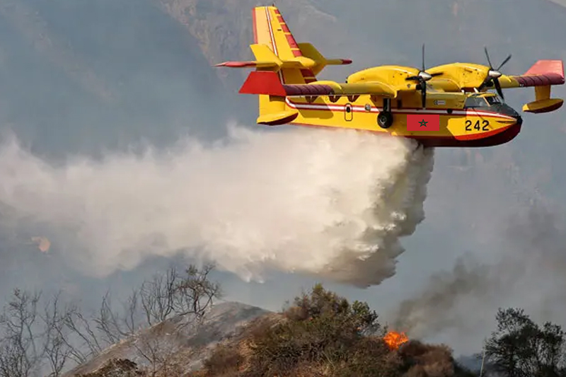  حريق غابة جبل مليتر : طائرات كنادير تشارك في عمليات الإطفاء ضواحي افران ‎‎