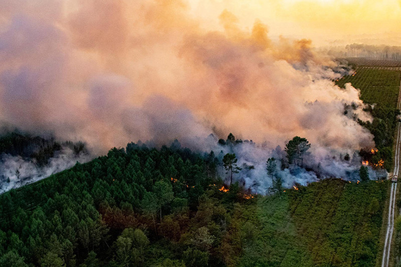  إسبانيا : تواصل الحرائق الغابوية رغم تساقط الأمطار