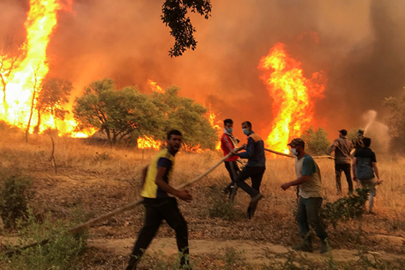  مصرع 37 شخصاً في حرائق الغابات بالجزائر