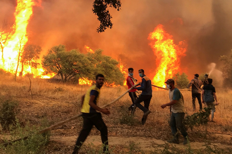 مصرع 37 شخصاً في حرائق الغابات بالجزائر