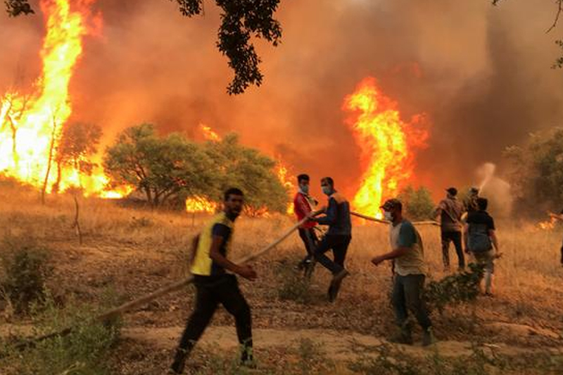قتيلان وجرحى في حرائق الغابات بشمال الجزائر