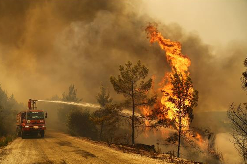 تدمير أكثر من 4 آلاف هكتار من الأراضي جراء حرائق