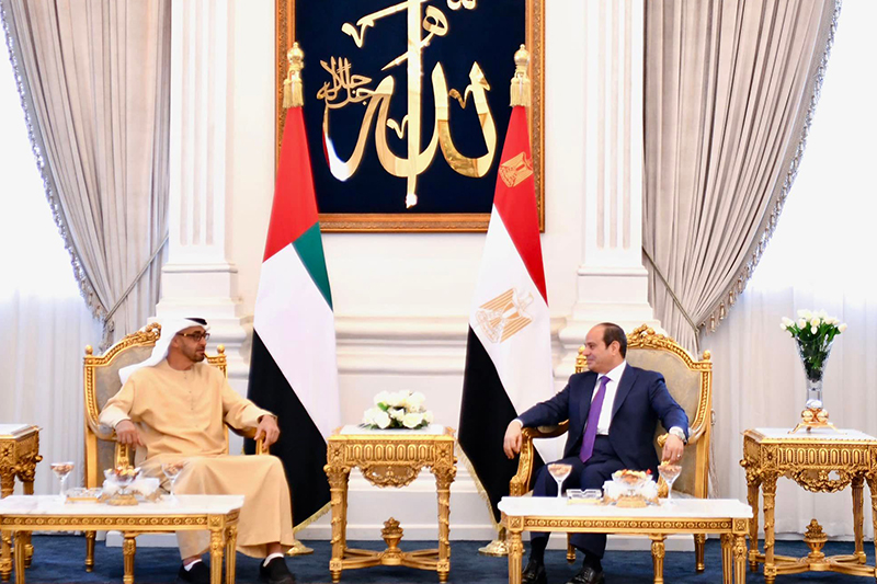  مصر تحتضن قمة عربية مصغرة لبحث تطورات الوضع في المنطقة العربية