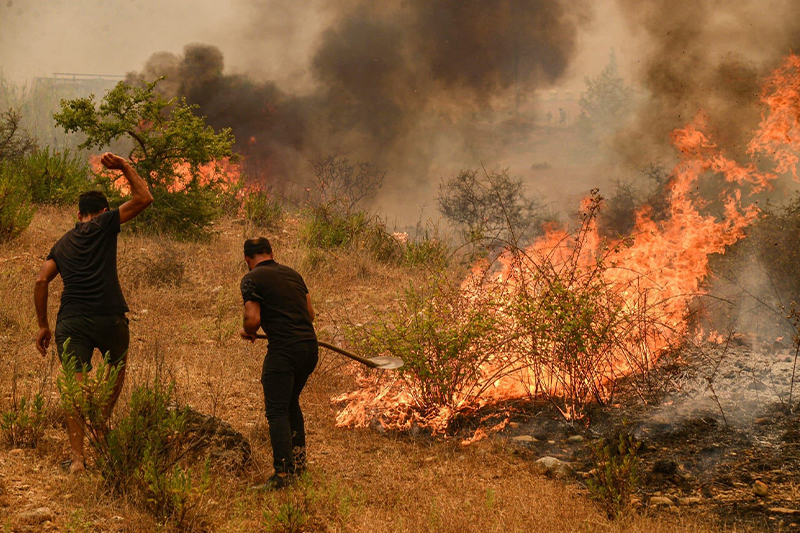  تركيا تعلن إخلاء أكثر من 300 منزلاً جراء اندلاع حريق غابات بمنطقة غولنار
