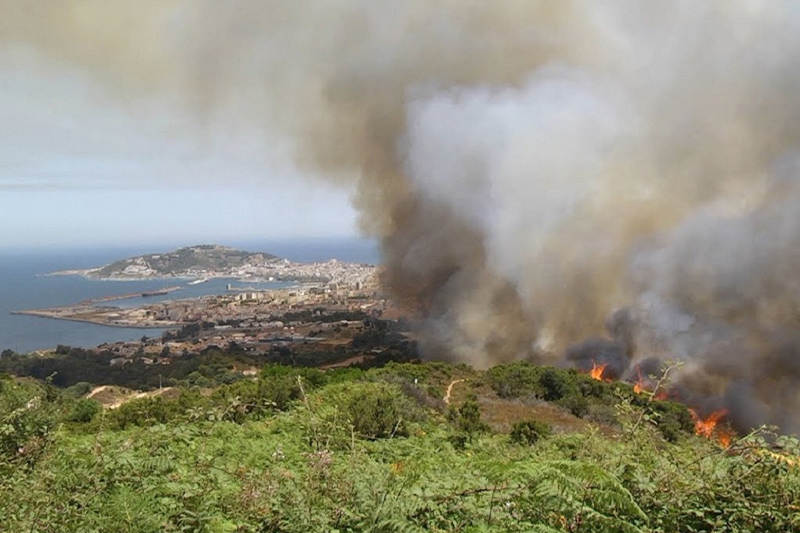  إسبانيا تواصل إخماد الحريق المهول بمدينة سبتة