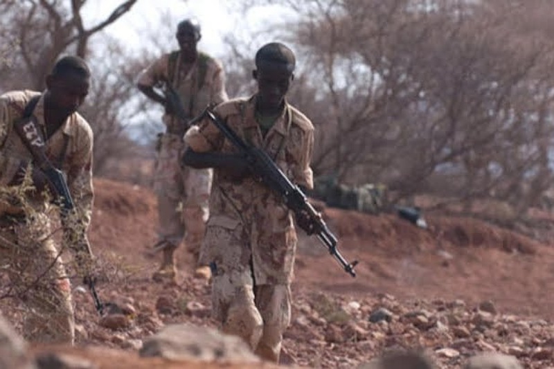  مقتل 7 جنود في هجوم إرهابي بجيبوتي